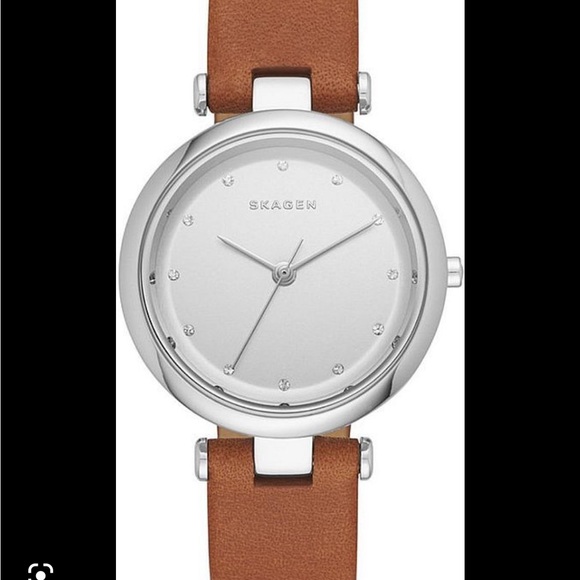 Skagen Tanja Silver Dial Ladies Leather Watch - Picture 2 of 7